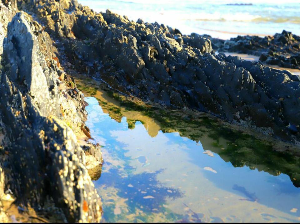 Entre Mer Et Foret Beach House Garden Route Nature's Valley Bagian luar foto