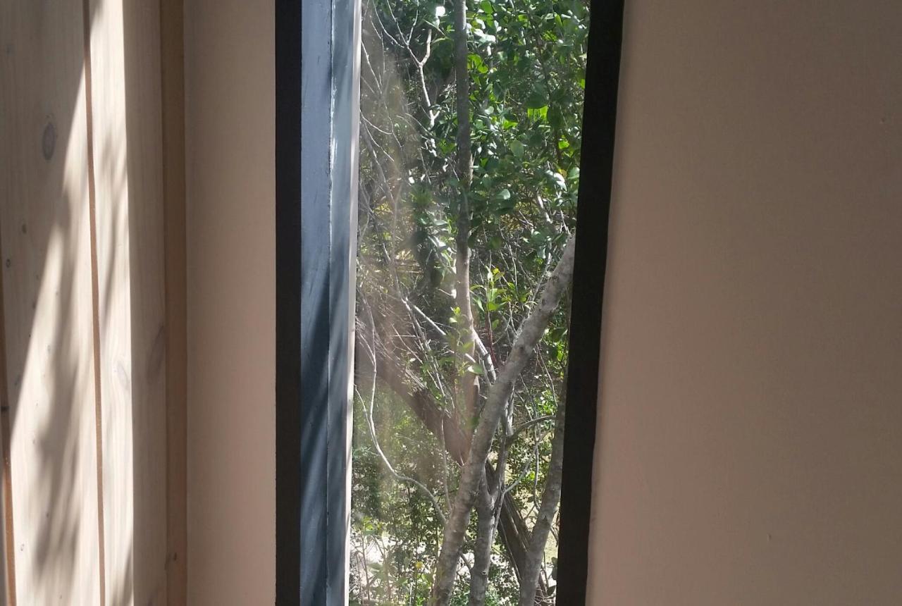 Entre Mer Et Foret Beach House Garden Route Nature's Valley Bagian luar foto