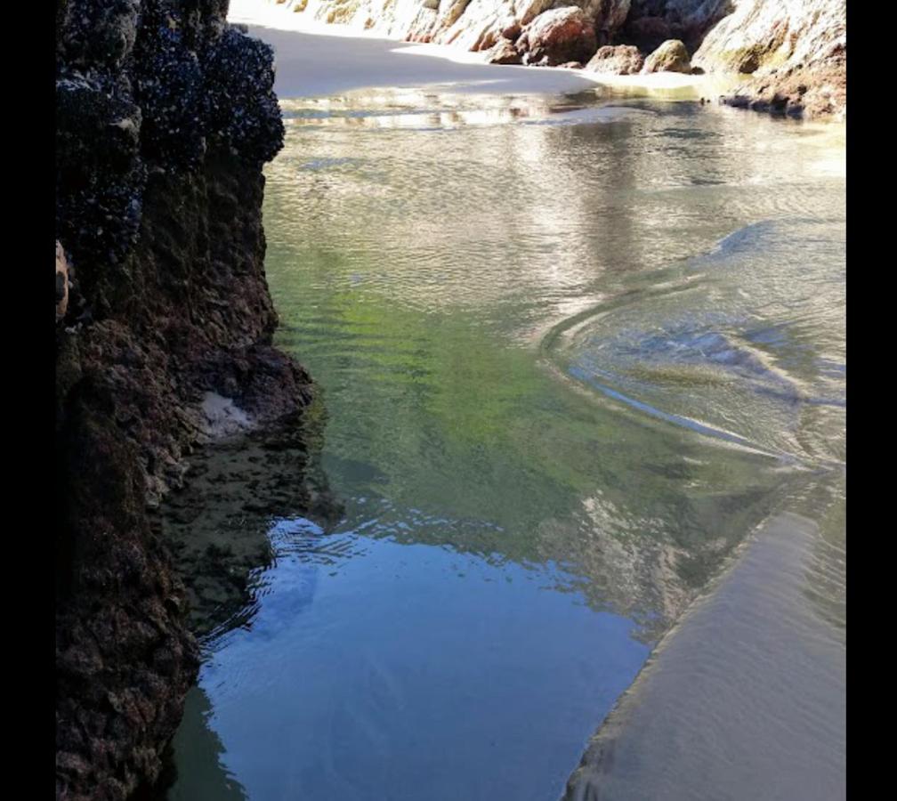 Entre Mer Et Foret Beach House Garden Route Nature's Valley Bagian luar foto