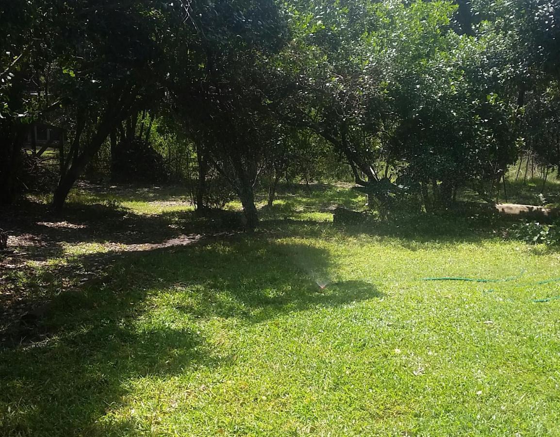 Entre Mer Et Foret Beach House Garden Route Nature's Valley Bagian luar foto