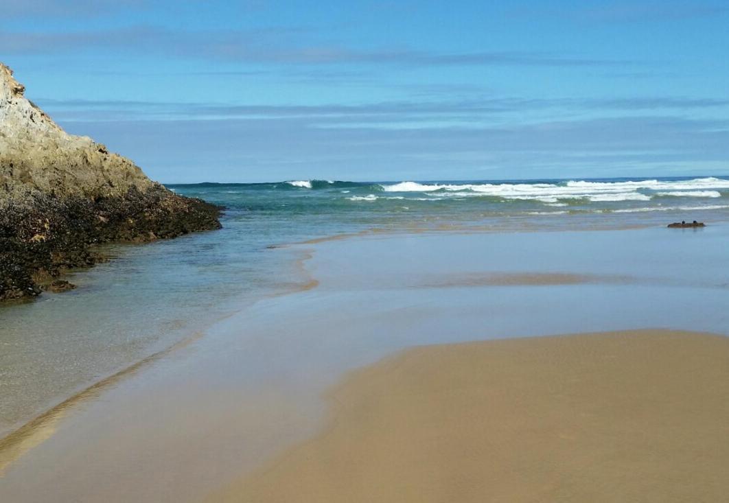 Entre Mer Et Foret Beach House Garden Route Nature's Valley Bagian luar foto